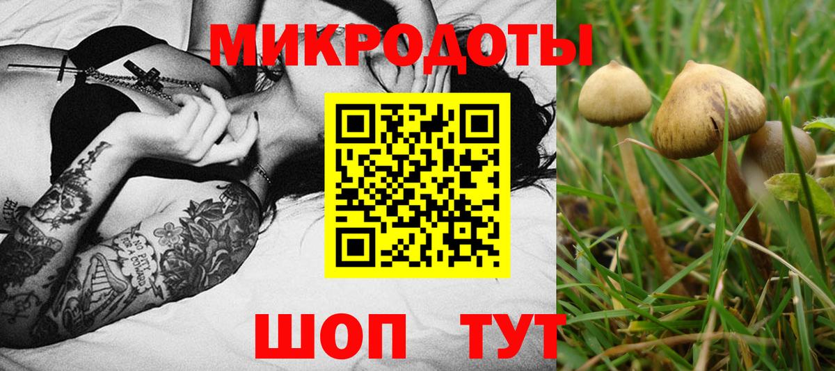 Соль-Илецк  цена   Вход с VPN  Псилоцибиновые грибы Cubensis 