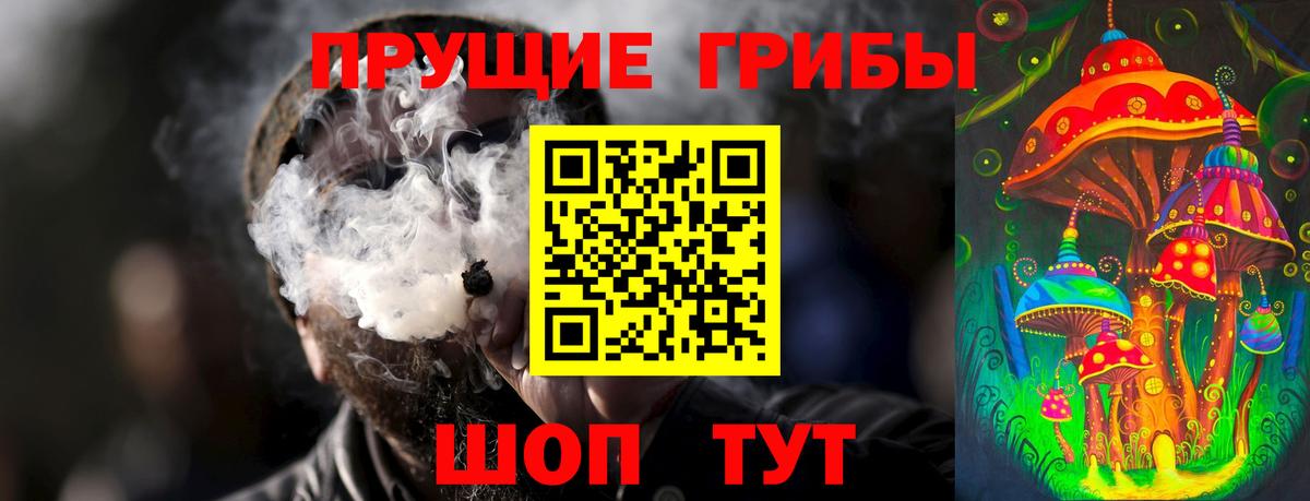 Галлюциногенные грибы Psilocybe Соль-Илецк